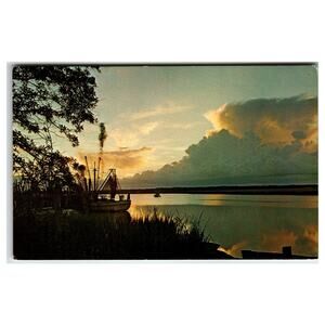 Vintage Shrimp Boats at Sunset Postcard - Ernest Ferguson Photo